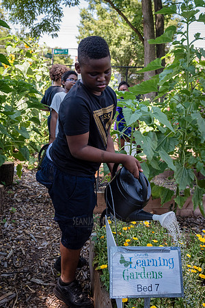 CPF Learning Gardens - Abib Newborn - NYC -2025