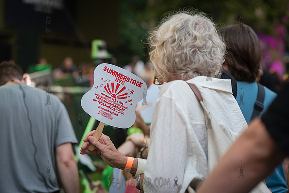 CPF SummerStage - Ezra Collective - Rumsey Playfield - NYC - 202