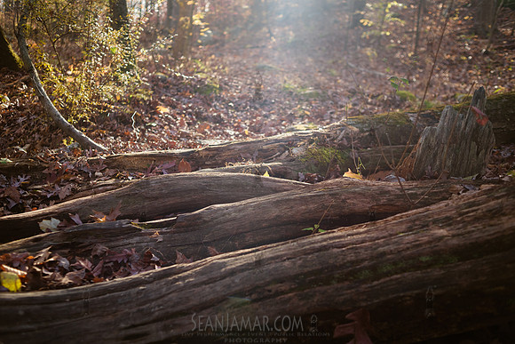 Adventure Day - Ramapo Mountain State Park - NJ - 2020