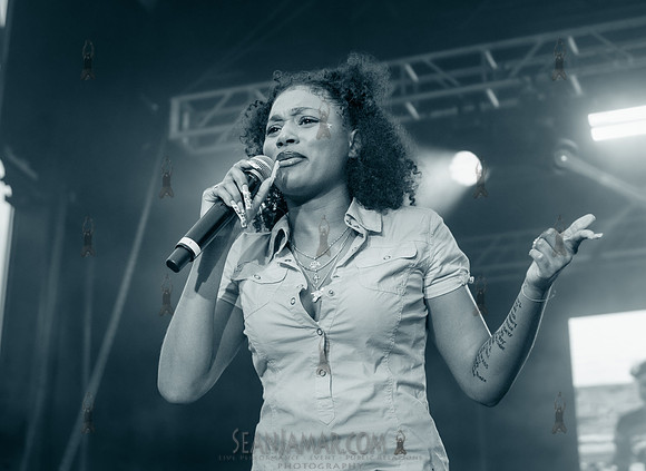 NYC SummerStage - Laila - Herbert Von King Park - NYC - 2025