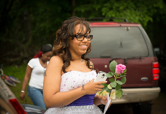 2014-05-28 Natasha Prom