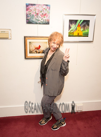 TCC - Through Our Eyes - Sandy Bennett Art Gallery - Bergen PAC - Englewood NJ - 2018