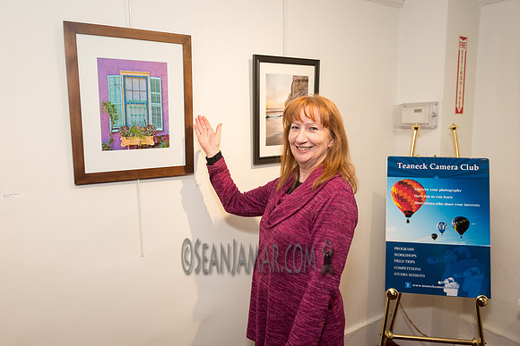 TCC - Through Our Eyes - Sandy Bennett Art Gallery - Bergen PAC - Englewood NJ - 2018