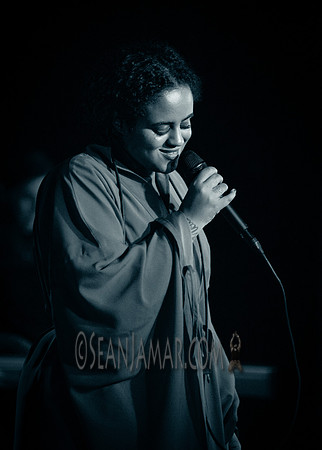 Seinabo Sey - The Marlin Room at Webster Hall - NYC - 2015