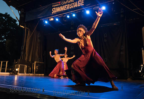 2019-06-21 2019-06-21 NYC SummerStage - Ronald K Brown Evidence A Dance Co - Von King Park - NYC-194.jpg