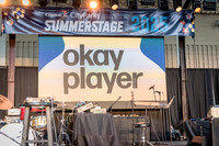 NYC SummerStage - Blacktronica Festival - Marcus Garvey Park - N