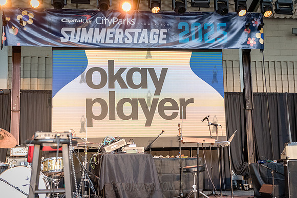 NYC SummerStage - Blacktronica Festival - Marcus Garvey Park - N