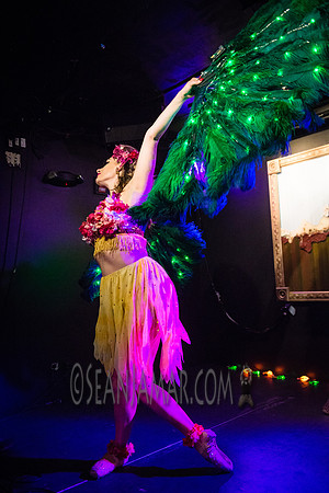 Taradise - A Tropical Tease - Le Poisson Rouge - NYC - 2017