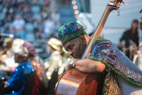 Sun Ra Arkestra - CPF SummerStage - Kim Gordon - Rumsey Playfiel