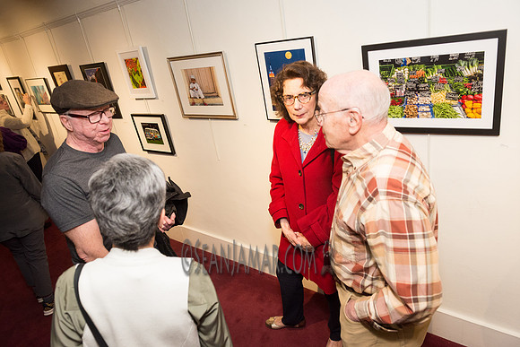 TCC - Through Our Eyes - Sandy Bennett Art Gallery - Bergen PAC - Englewood NJ - 2018