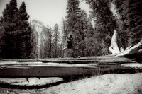 Adventure Day - Cathedral Beach Picnic Area - Yosemite National Park - Yosemite Valley CA - 2017
