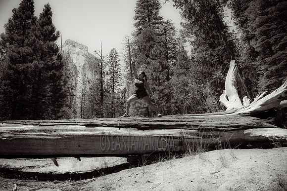 Adventure Day - Cathedral Beach Picnic Area - Yosemite National Park - Yosemite Valley CA - 2017