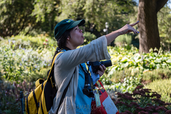 CPF Green Fund - NYC Bird Alliance Accessible Birding - Ft Tryon