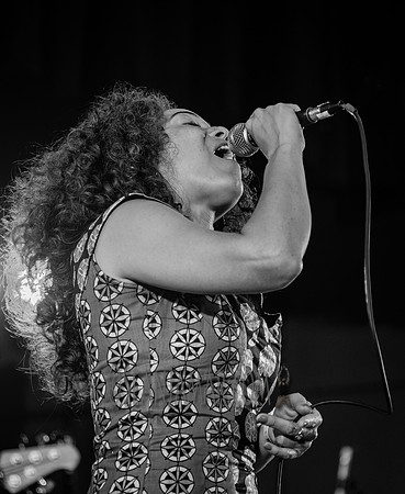 Kendra Foster - Soul In The Horn Summer Stage - Herbert von King Park - BK USA - 2016