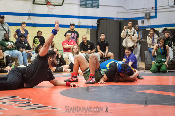 PSAL Girls Individual Championships - Harry S Truman HS - NYC -