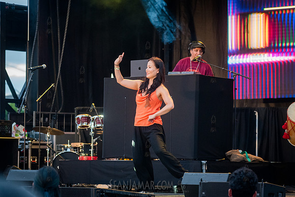 NYC SummerStage - DJ Rekha Basement Bhangra - Flushing Meadows P