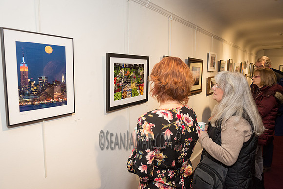 TCC - Through Our Eyes - Sandy Bennett Art Gallery - Bergen PAC - Englewood NJ - 2018