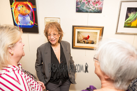 TCC - Through Our Eyes - Sandy Bennett Art Gallery - Bergen PAC - Englewood NJ - 2018