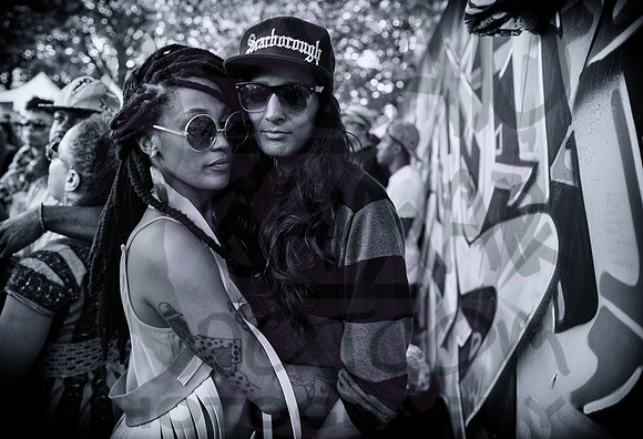 Afropunk Festival - Commodore Barry Park - BK USA - 2014