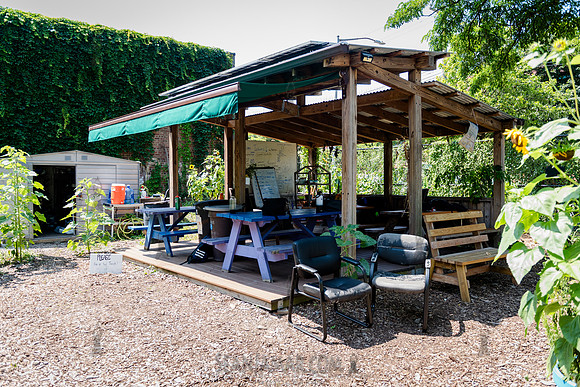 CPF Learning Gardens - Abib Newborn - NYC -2025