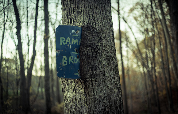 Adventure Day - Ramapo Mountain State Park - NJ - 2020