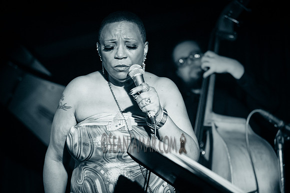 Ms Blu - Zinc Bar - NYC - 2016