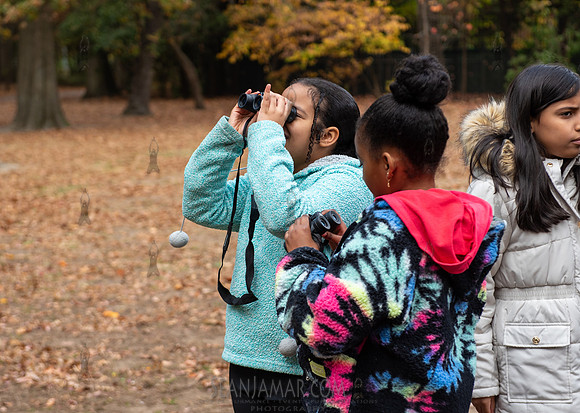 CPF Learn - Seeds To Trees - Prospect Park - NYC - 2024