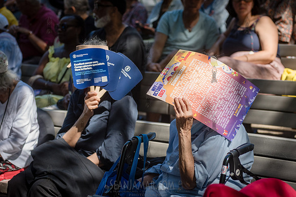 NYC SummerStage - Charlie Parker Jazz Festival - Branford Marsal