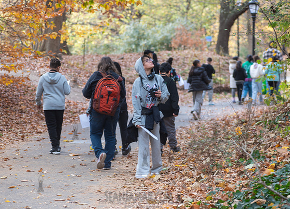 CPF Learn - Seeds To Trees - Prospect Park - NYC - 2024