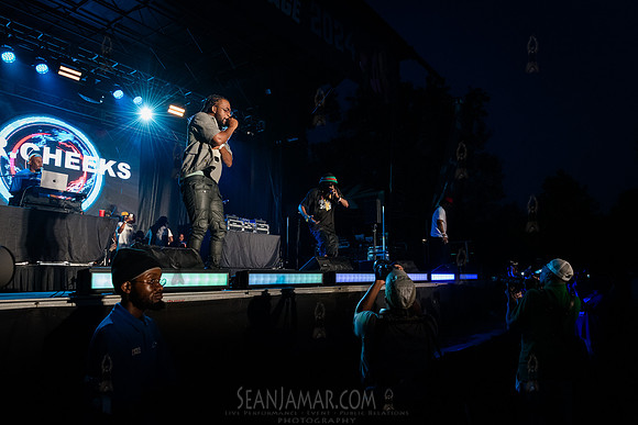 Mr Cheeks - CPF SummerStage - Chuck Chillout 40th Radio Anniv -