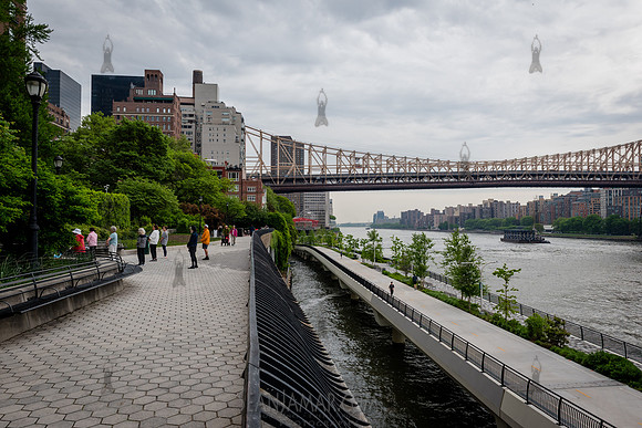CPF Senior Fitness - Yoga - Sutton Place Park - NYC - 2025