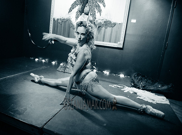 Taradise - A Tropical Tease - Le Poisson Rouge - NYC - 2017