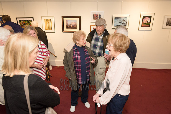 TCC - Through Our Eyes - Sandy Bennett Art Gallery - Bergen PAC - Englewood NJ - 2018