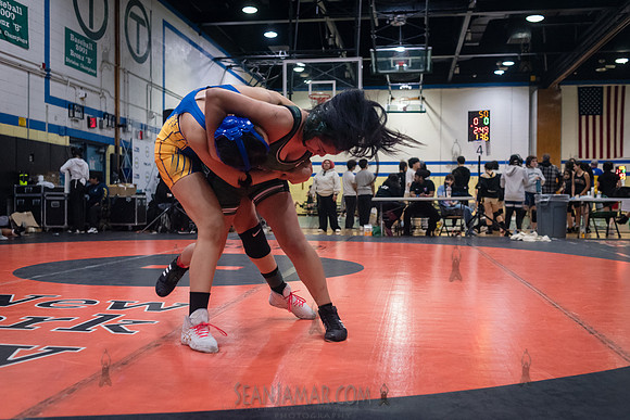 PSAL Girls Individual Championships - Harry S Truman HS - NYC -