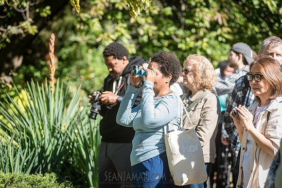 CPF Green Fund - NYC Bird Alliance Accessible Birding - Ft Tryon