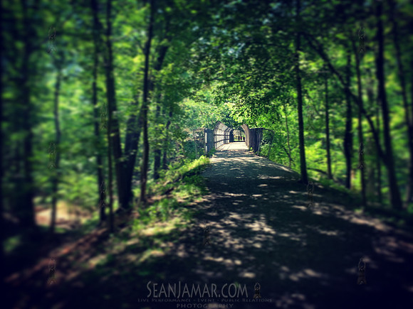 Lenape Trail
