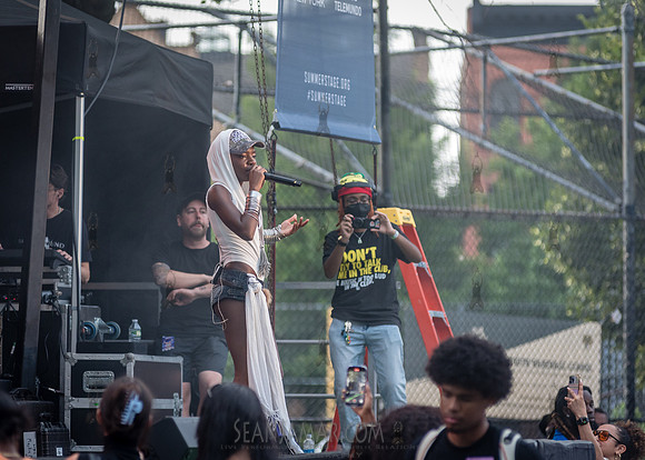 NYC SummerStage - Laila - Herbert Von King Park - NYC - 2025