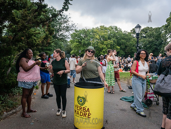 NYC SummerStage - Laila - Herbert Von King Park - NYC - 2025