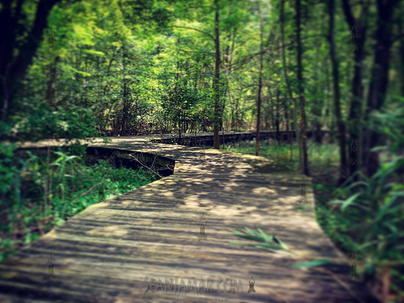 Hackensack River County Park