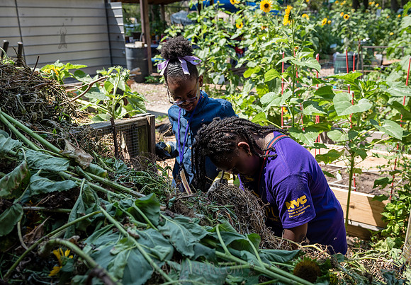 CPF Learning Gardens - Abib Newborn - NYC -2025