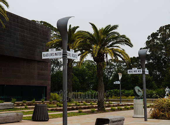 Adventure Day - San Francisco CA - 2017