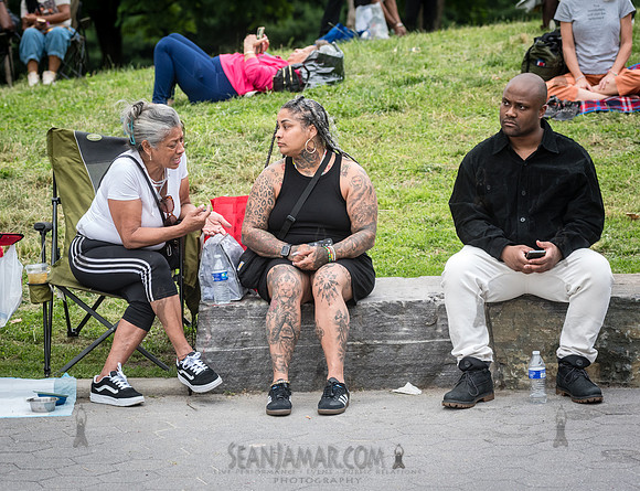 NYC SummerStage - Gil Scott Heron Tribute - St Marys Park - NYC