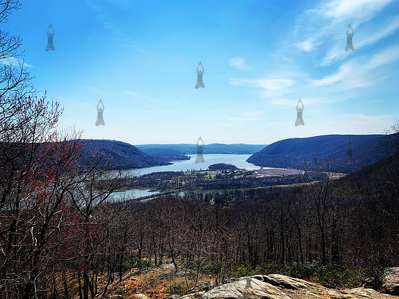 Bear Mountain
