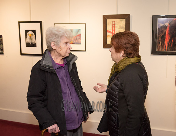 TCC - Through Our Eyes - Sandy Bennett Art Gallery - Bergen PAC - Englewood NJ - 2018