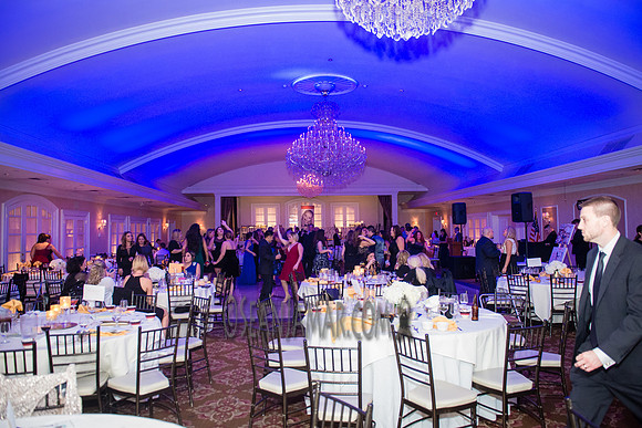 Heart of Gold Gala - The Fiesta - Woodridge NJ - 2016