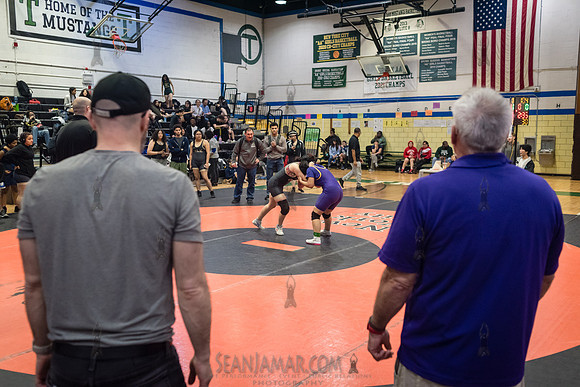 PSAL Girls Individual Championships - Harry S Truman HS - NYC -