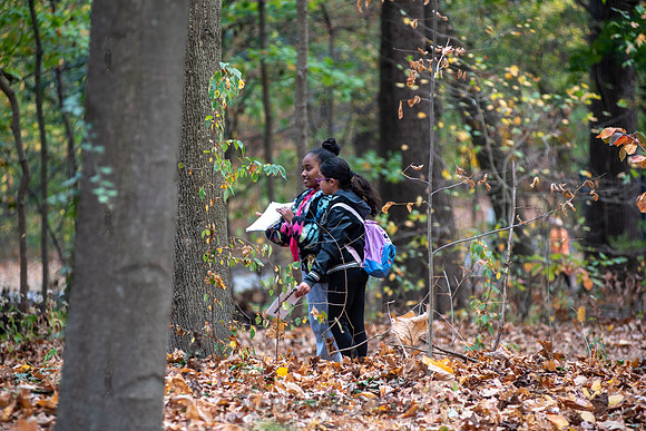 CPF Learn - Seeds To Trees - Prospect Park - NYC - 2024