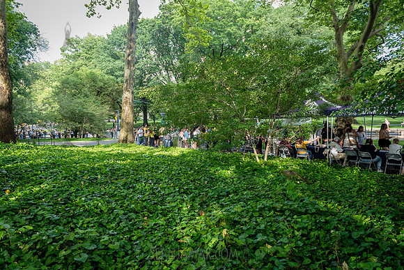 NYC SummerStage - Yandel Sinfonico - Rumsey Playfield -  NYC - 2