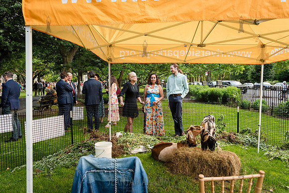 Riverside Park Conservancy - Riverside Revue Gala - Sakura Pak -
