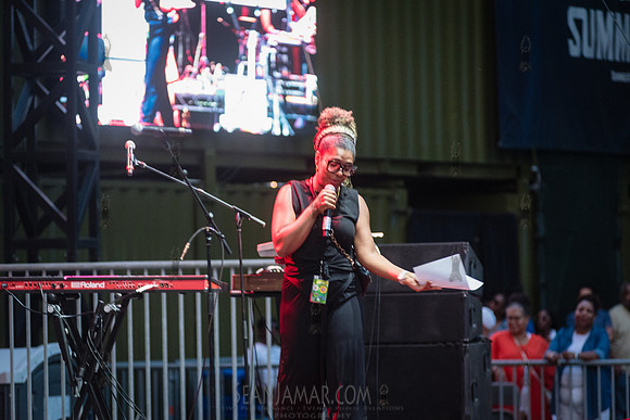 CPF SummerStage - VP Recprds 45th Anniversary - Rumsey Playfield